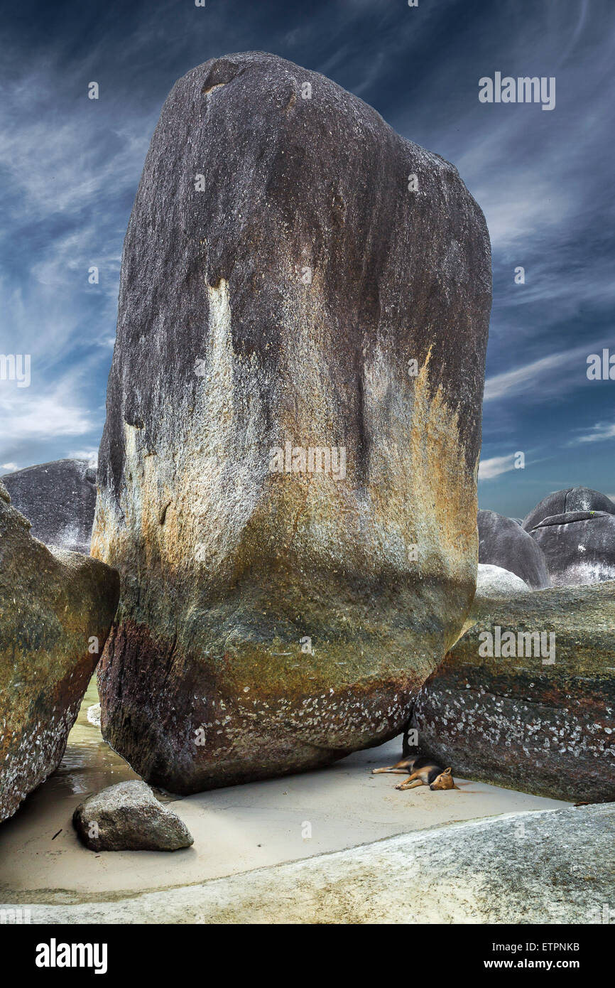 Big Stone e cane dorme Foto Stock