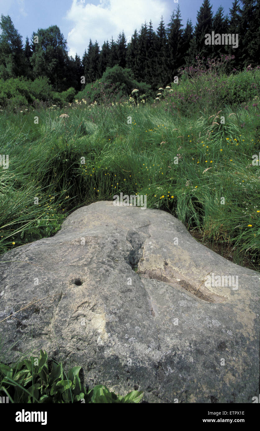 BEL, Belgio, Eastbelgium, la pietra bianca nel Bocksvenn/Hautes Fagnes vicino Muerringen, monumento naturale, 2,50 x 2,00 metro b Foto Stock