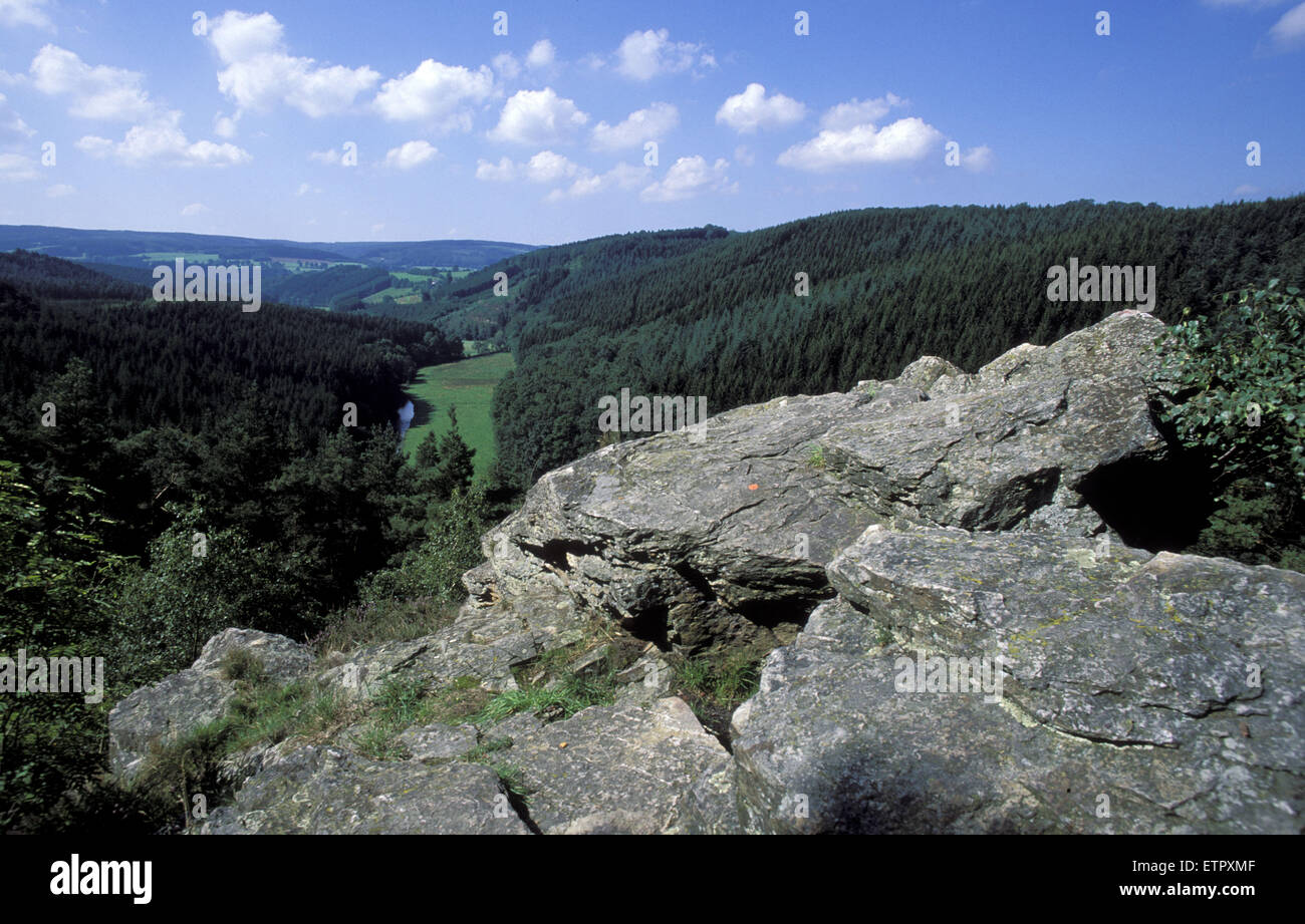 BEL, Belgio, Eastbelgium, vicino a Malmedy, vista dalla roccia Falize alla valle del fiume Warche, Roger de Falize. BEL, Bel Foto Stock