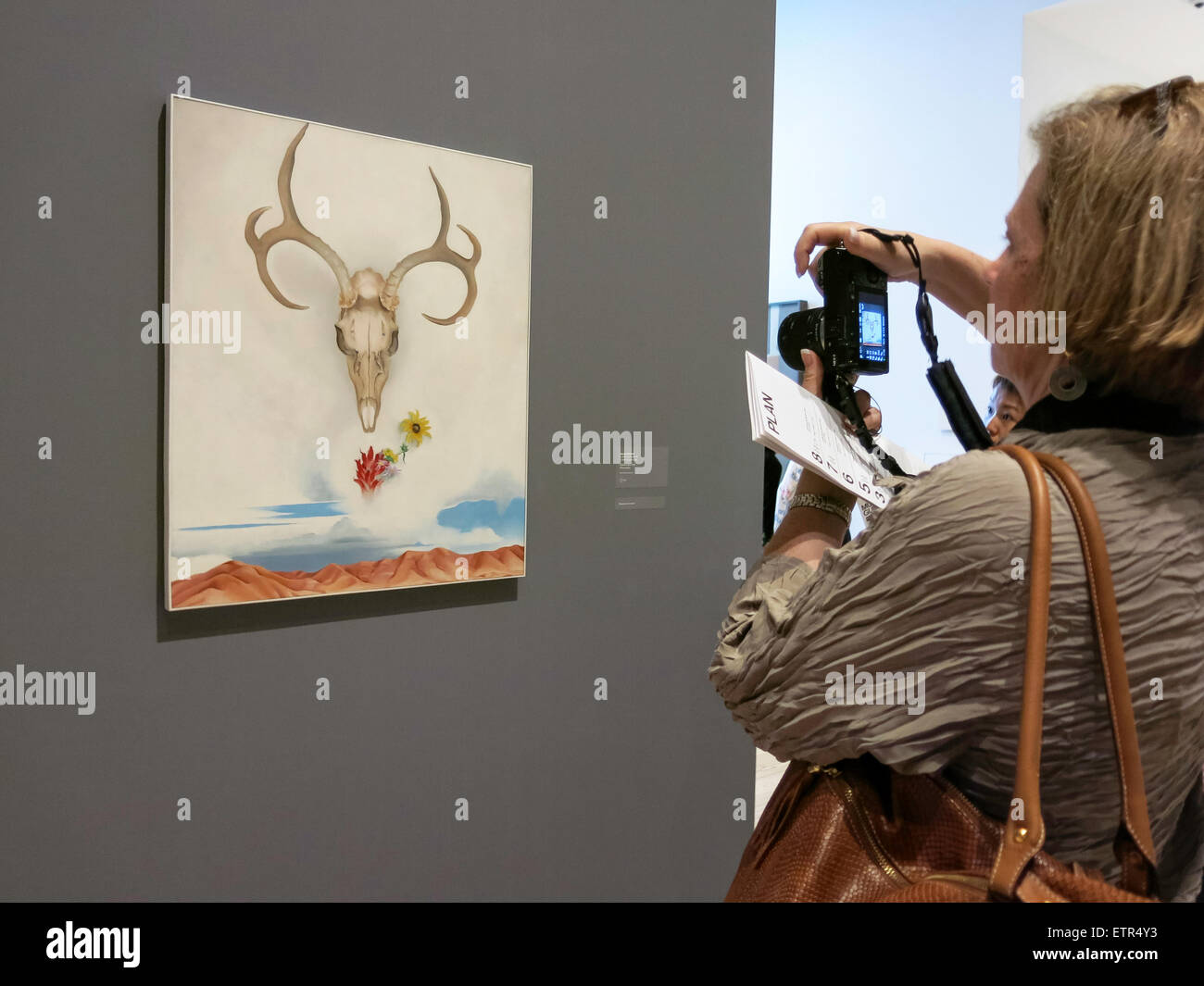 La donna per scattare delle foto al Whitney Museum of American Art, New York Foto Stock