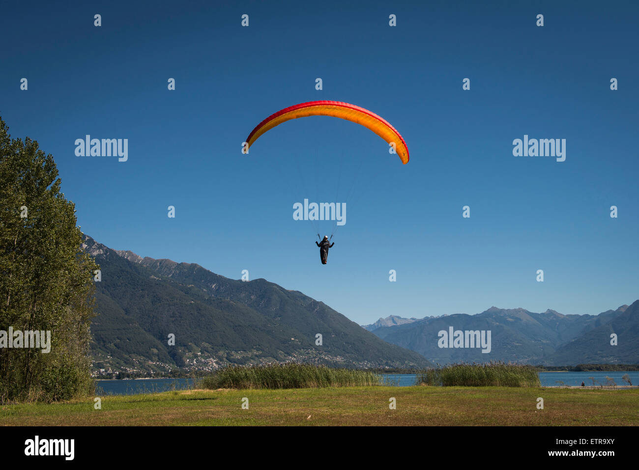 Parapendio, Volo, parapendio, divertimento, vacanze, Lago Maggiore, centro lago di montagna, Locarno, spiaggia, Ticino, Svizzera Foto Stock