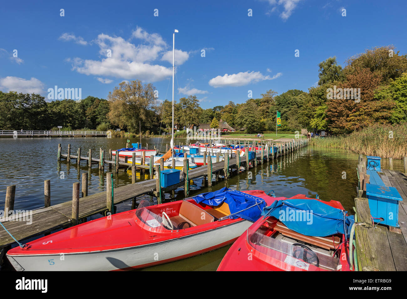 Pedalò e barca elettrica che la società di noleggio, Dreibergen, Bad Zwischenahn, Ammerland, Bassa Sassonia, Germania, Foto Stock