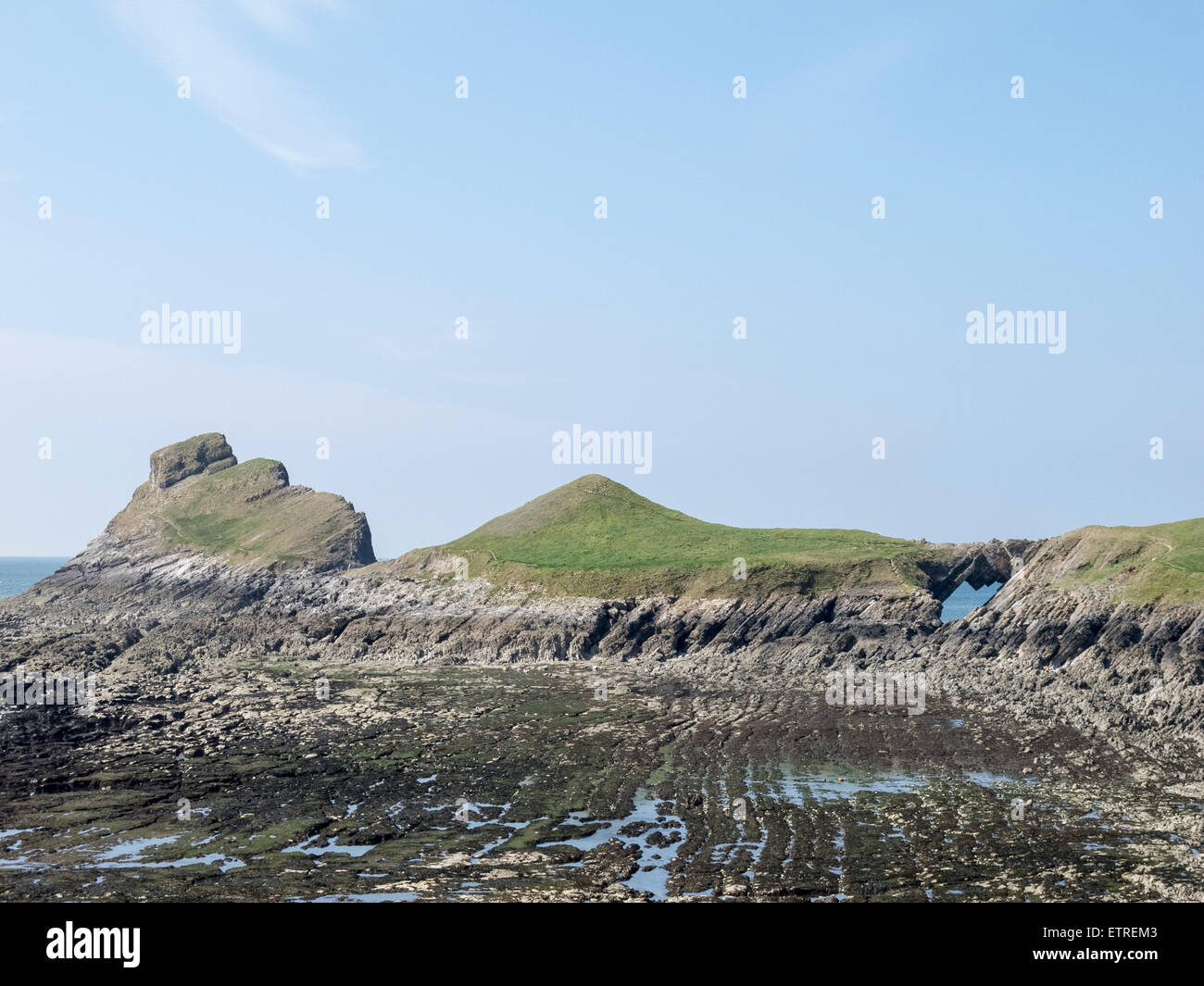Taglio a onda esposta della piattaforma con la bassa marea sulla vite testa di Gower, Galles Foto Stock
