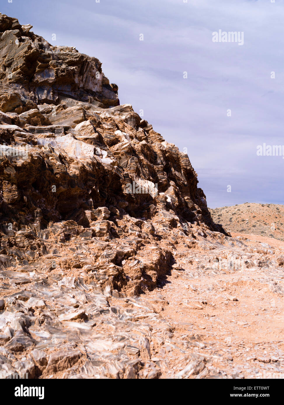 Close-up immagine di selenite (cristalli di gesso, solfato di calcio) in montagna di vetro, hartnett disegnare, Capitol Reef National Park nello Utah Foto Stock