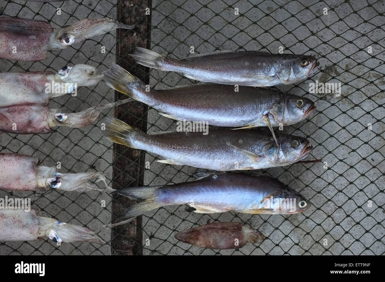 Asciugato il pesce salato e calamari Foto Stock