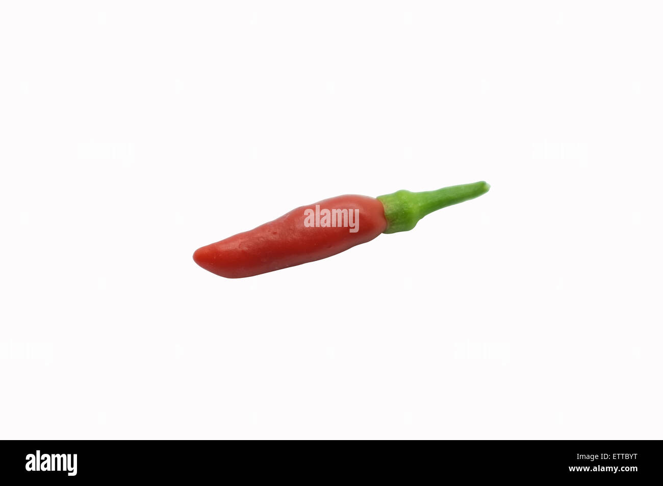 Thai peperoncino, con colori rosso e verde, isolato su sfondo bianco Foto Stock