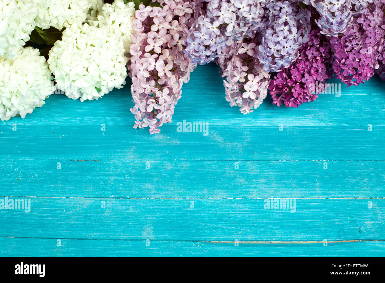 La bella lilla su una superficie in legno Foto Stock