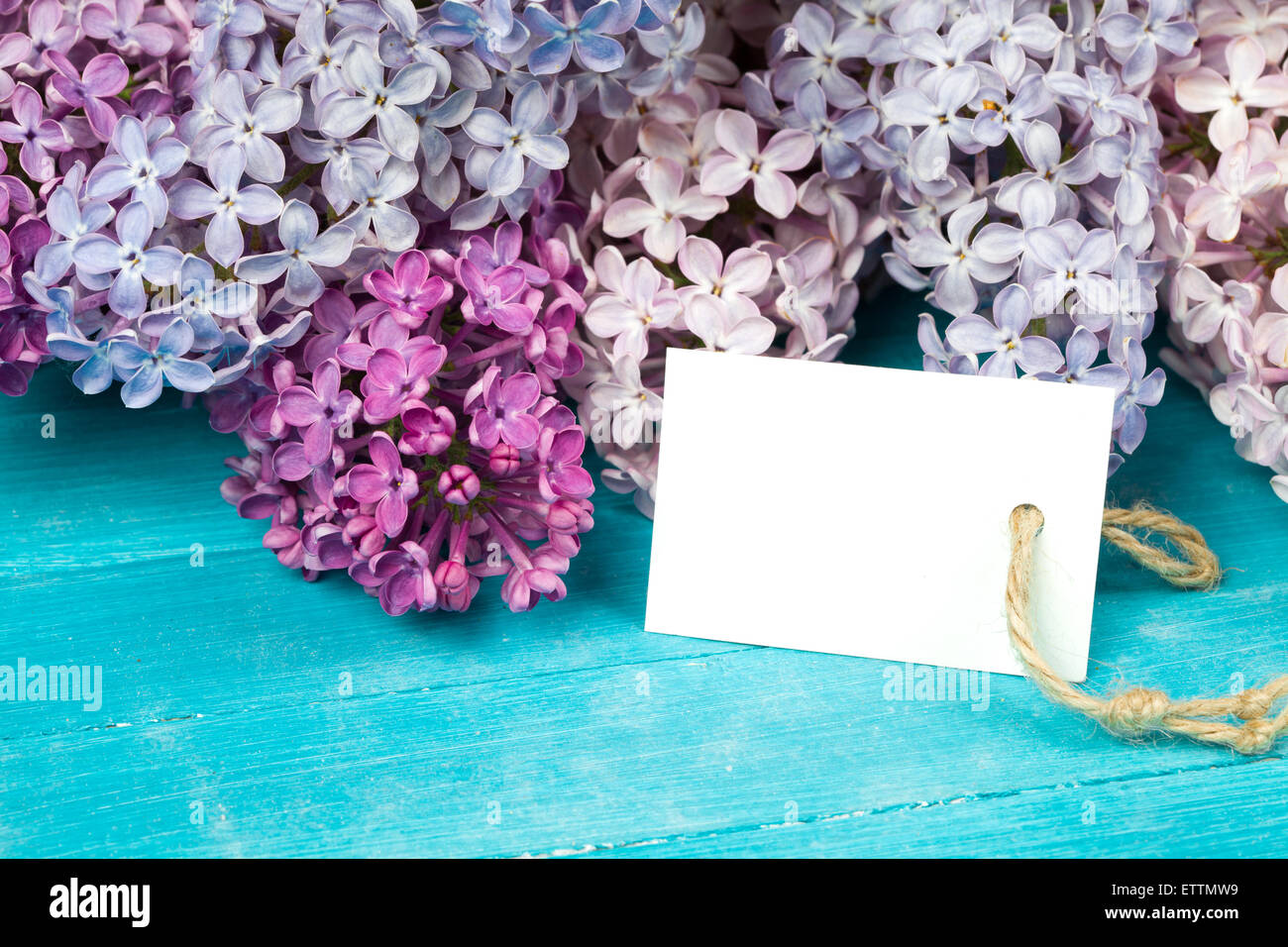 Cartolina con splendidi fiori lilla Foto Stock