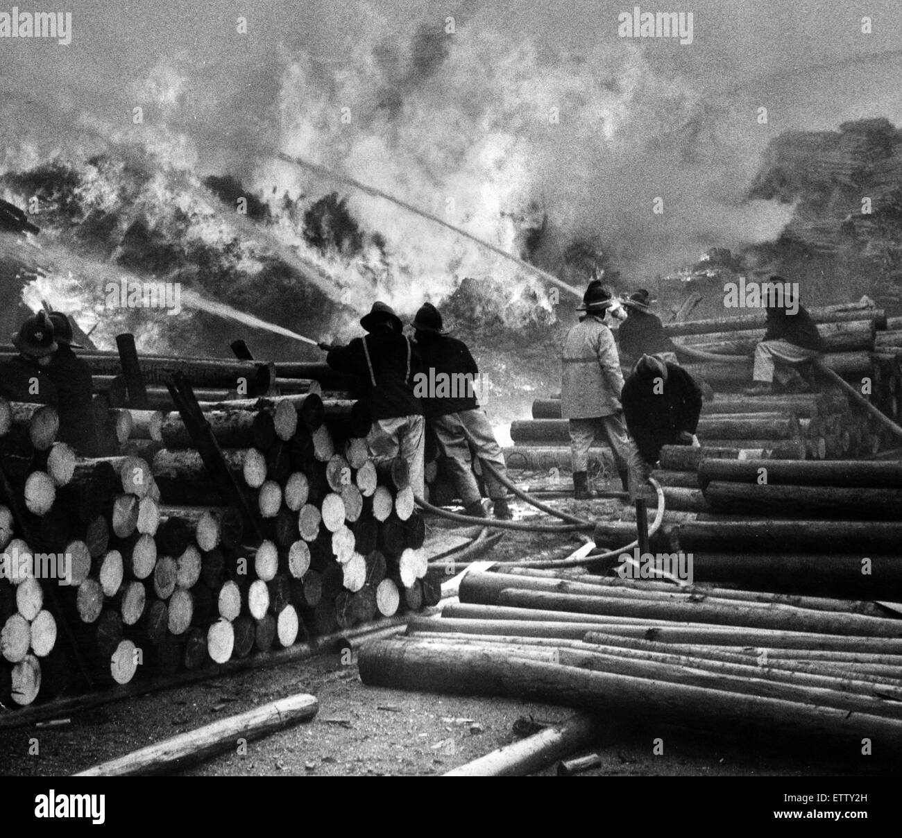 Incendio al legname, distruggendo 50.000 pit puntelli, Fenwick Legname, Seaton Carew, Hartlepool, 8 maggio 1972. Foto Stock