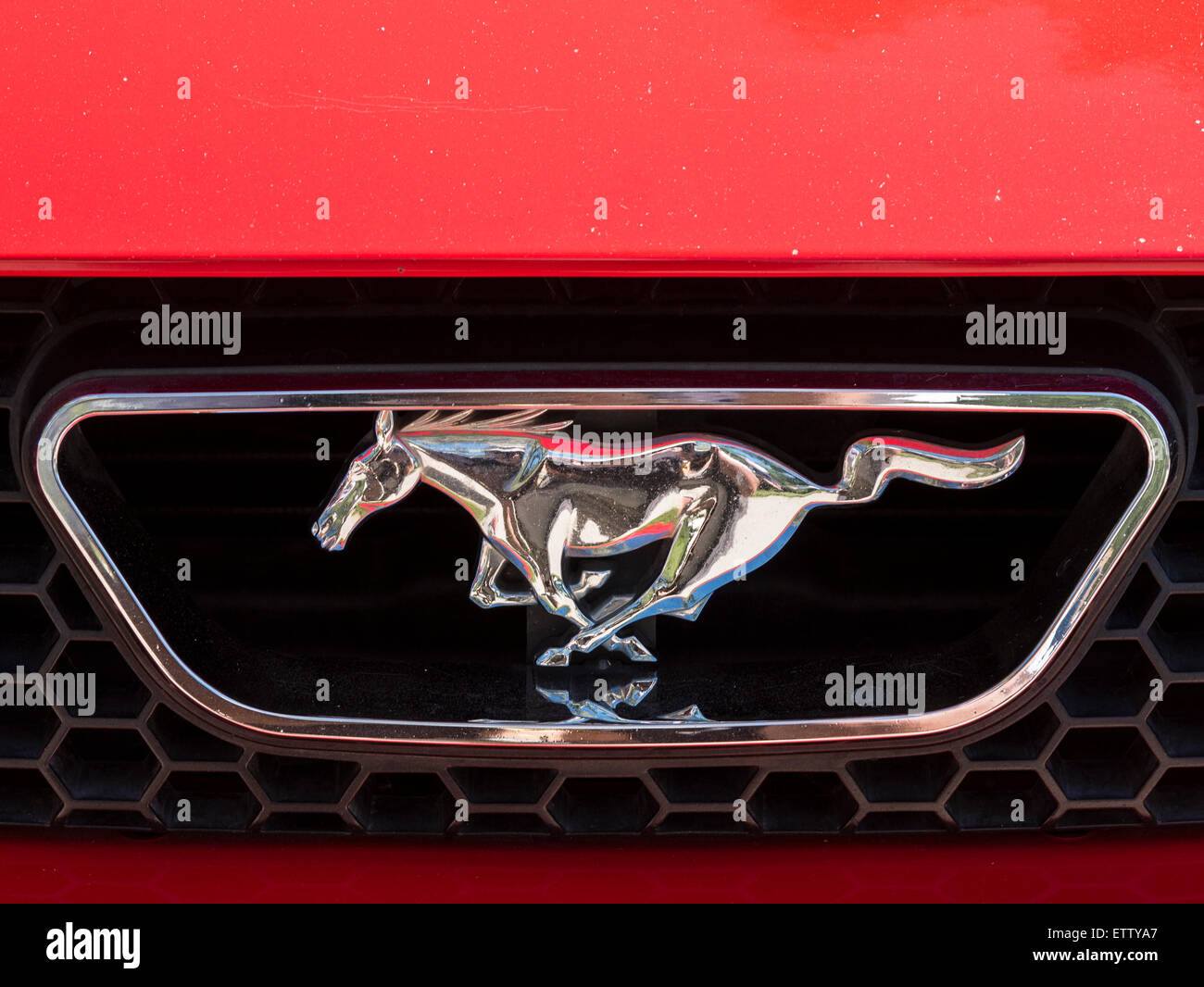 2000 Ford Mustang emblema, MG auto Rallye, Glenwood Springs, Colorado. Foto Stock
