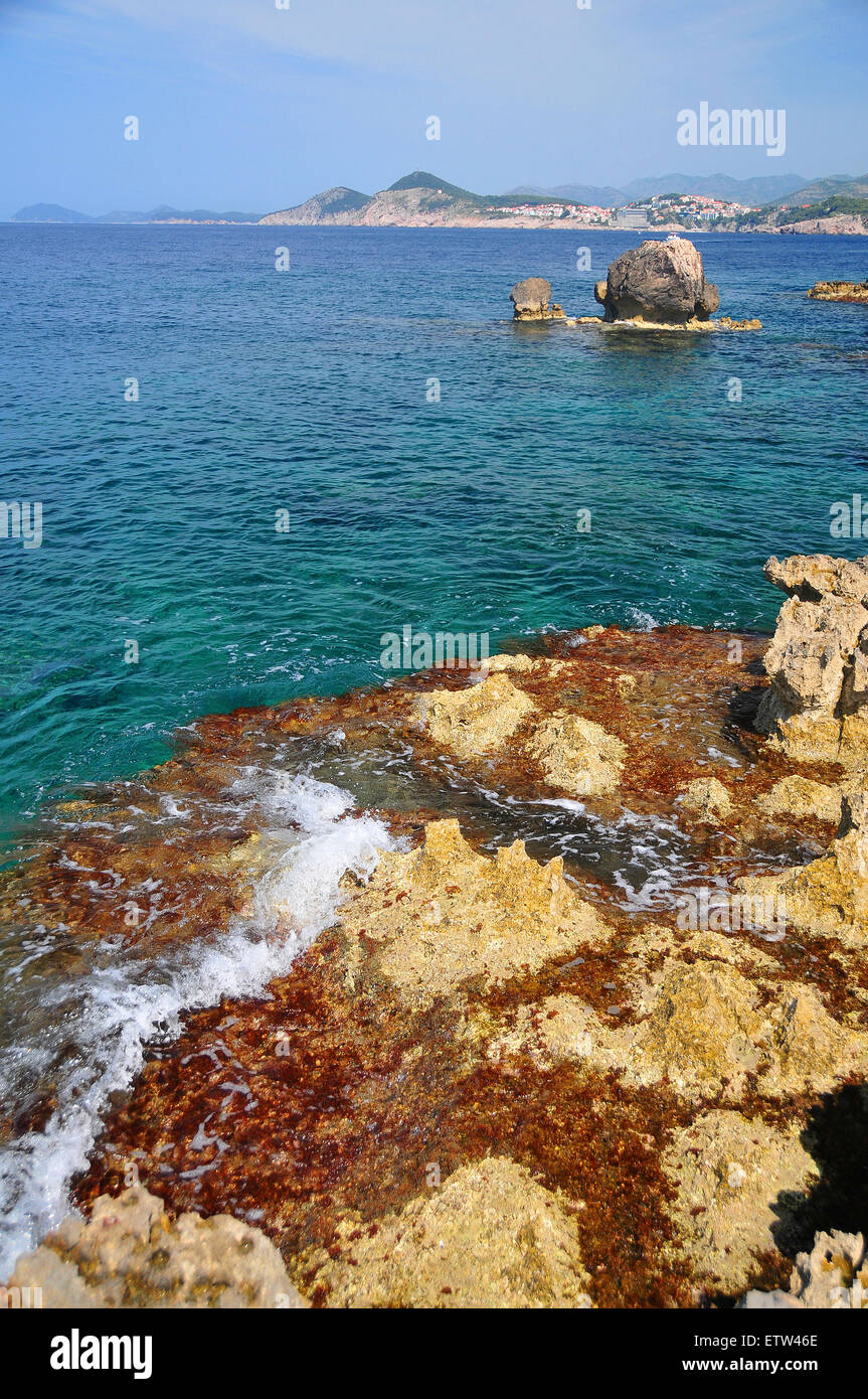 L Isola Di Lokrum A Soli Dieci Minuti Da Dubrovnik In Barca Offre Alcuni Bellissimi Paesaggi Naturali E Paesaggi Marini Foto Stock Alamy