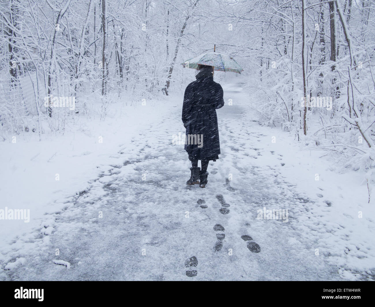 Donna cammina da sola attraverso Prospect Park durante un wet tempesta di neve, Brooklyn, New York. Foto Stock