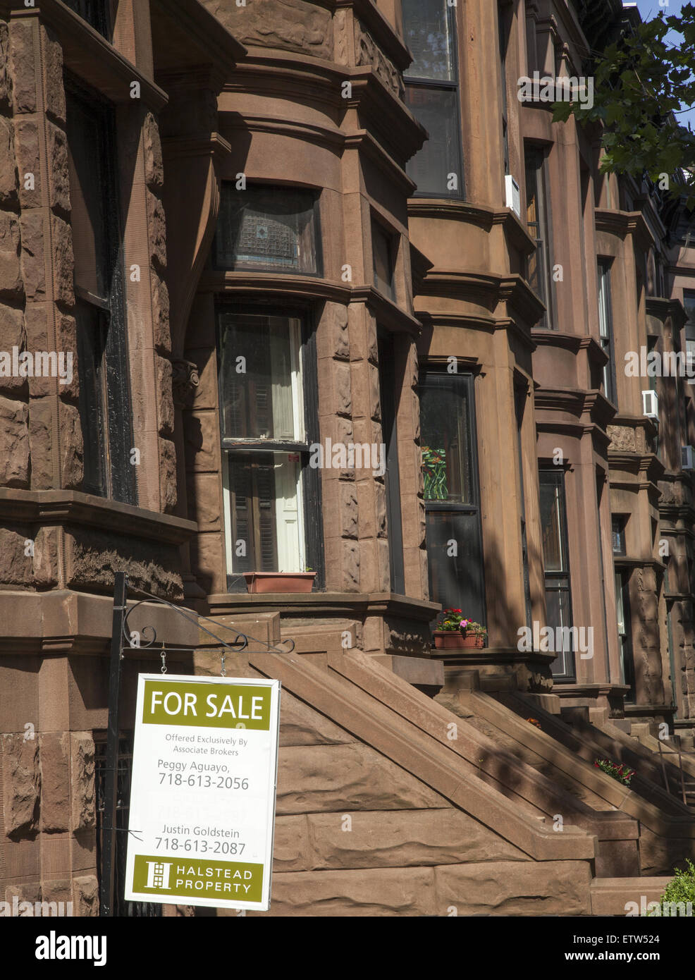 Case di arenaria a vendere per 2 milioni di dollari e fino a Park Slope, Brooklyn, New York. Foto Stock