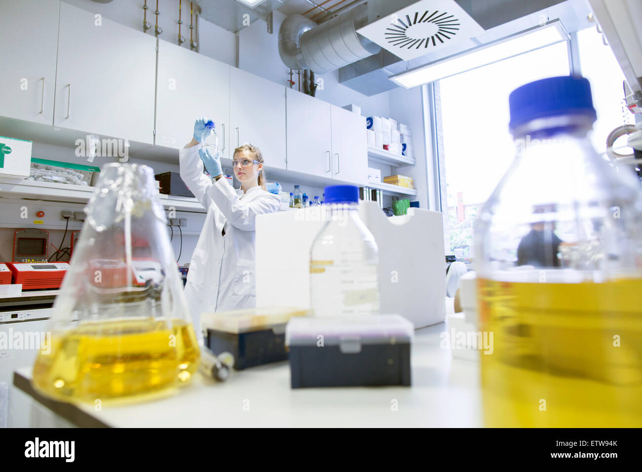 Giovani donne scienziato che lavora presso laboratorio biologico campioni di ispezione Foto Stock