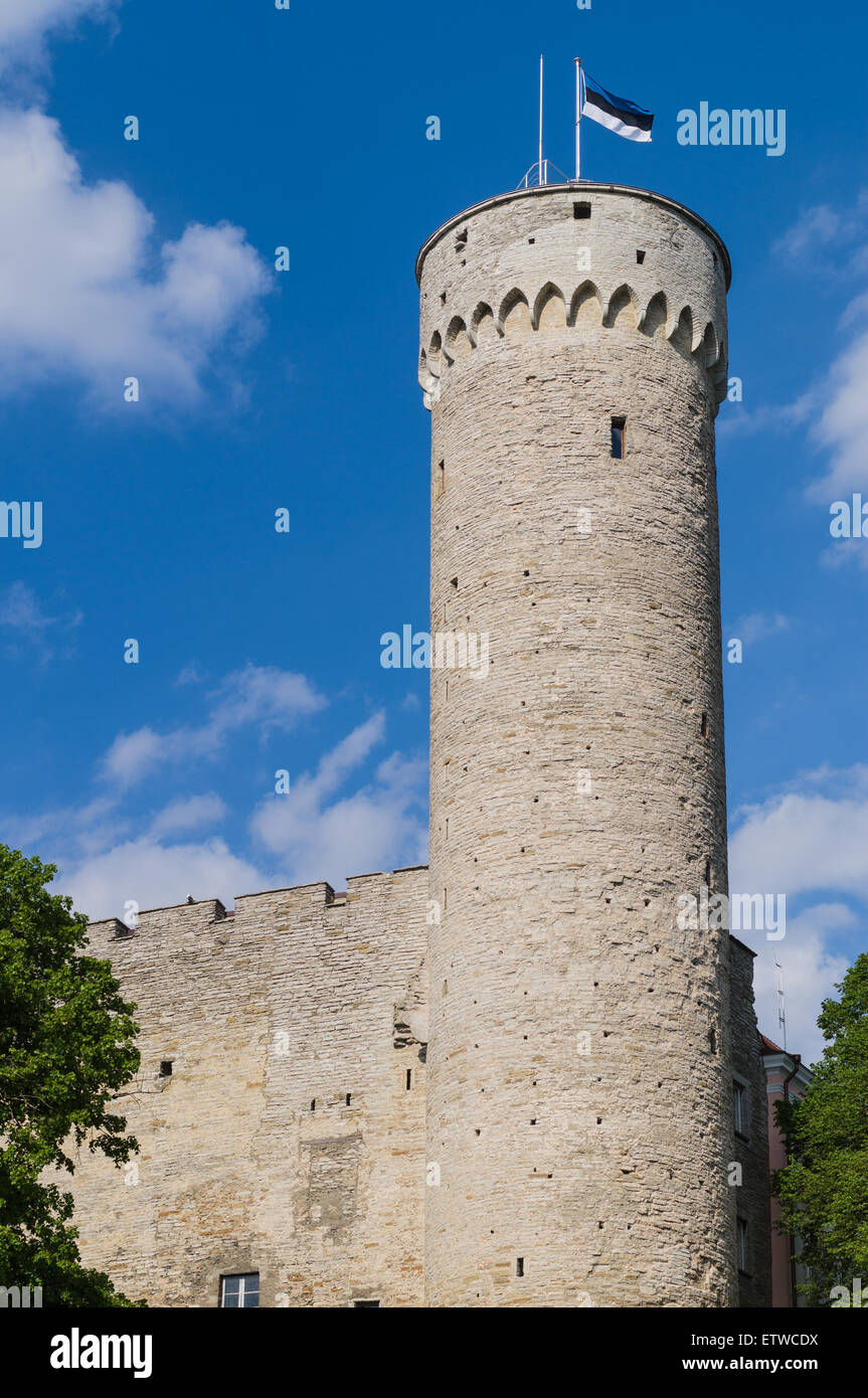 Tall Hermann - Il castello di Toompea tower nel centro di Tallinn, capitale dell'Estonia Foto Stock
