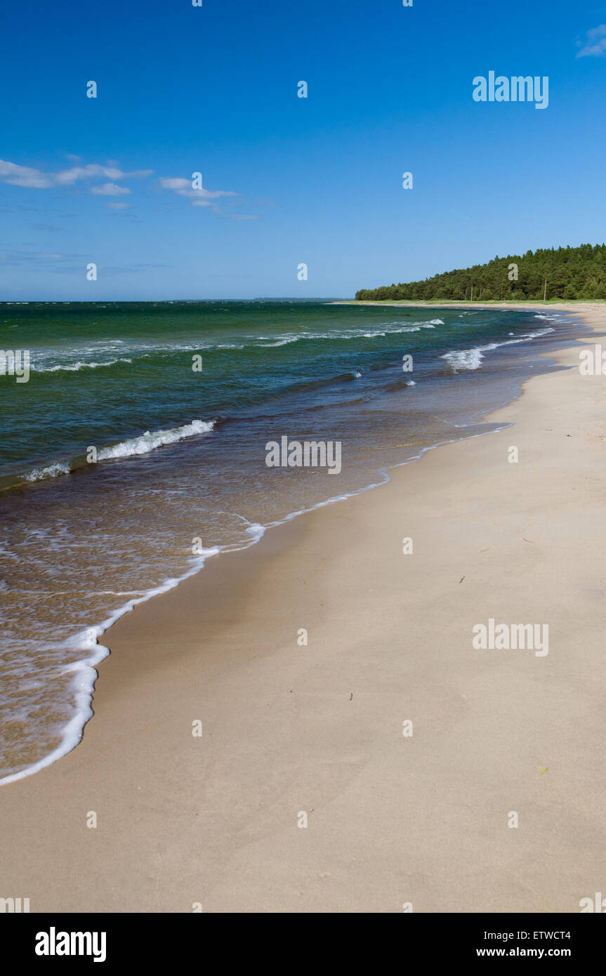 Spiaggia di sabbia bianca e acqua verde del Mar Baltico Foto Stock