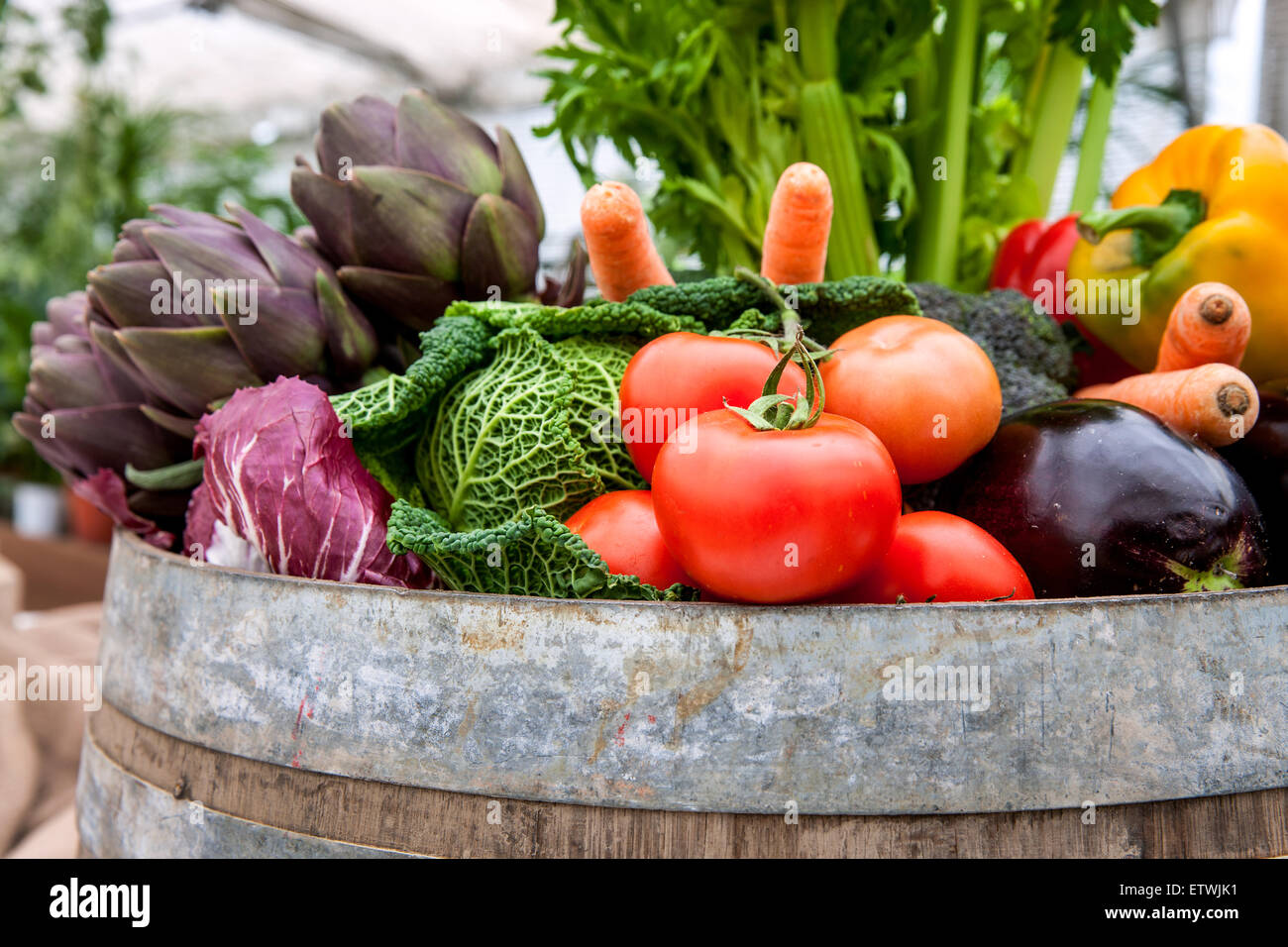 Organico, verdure, piatti vegetariani, Carciofo, lattuga, pomodori, Toscana, Foto Stock