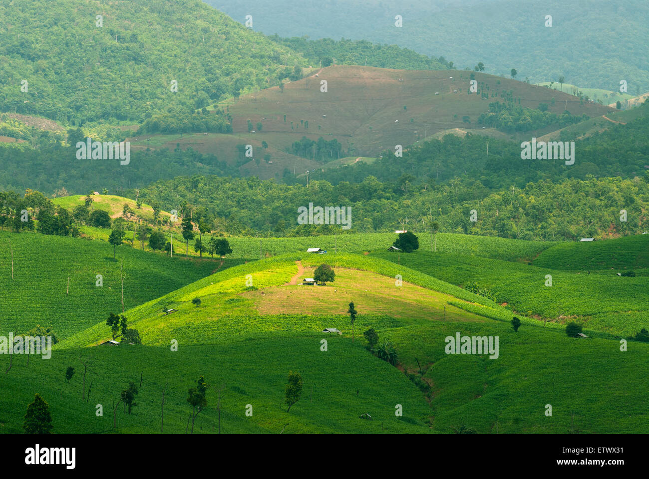 Alta Vista dei terrazzi di riso Mae Chaem, Chiang Mai, Thailandia del Nord Foto Stock