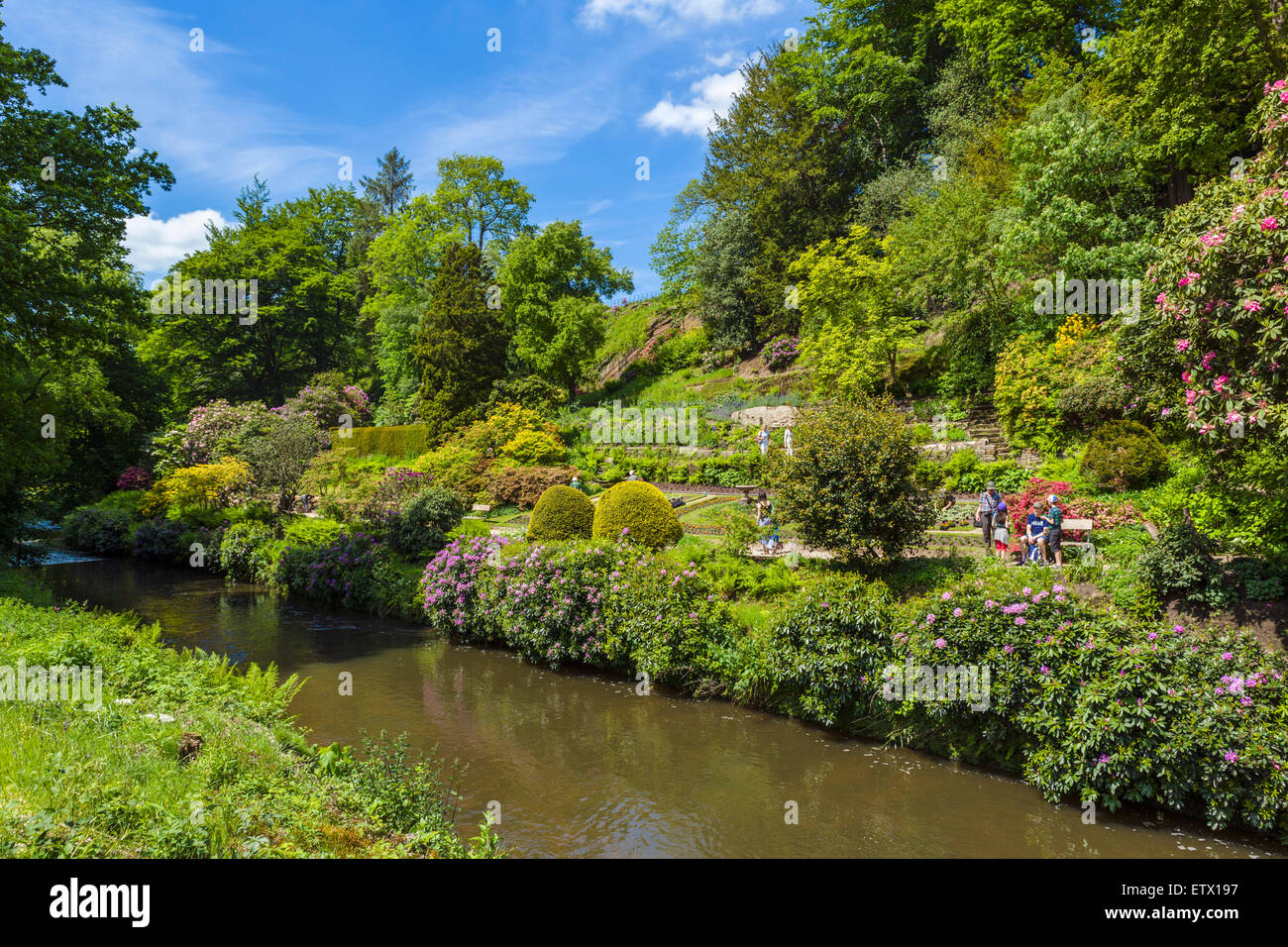 Fiume Bollin nei giardini a Quarry Bank Mill, una storica 18thC mulino tessile in Styal, Cheshire, Inghilterra, Regno Unito Foto Stock