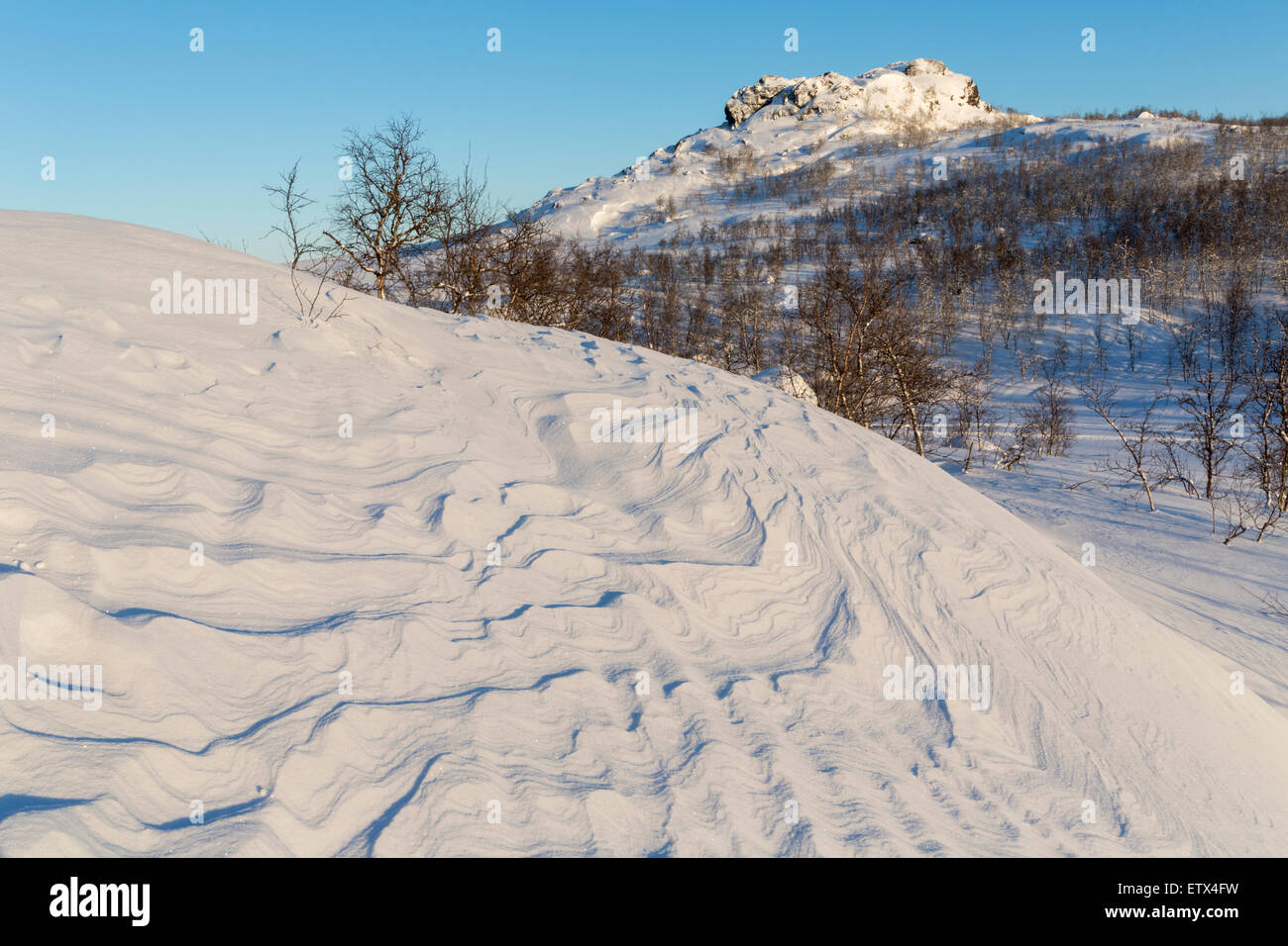 Disegni realizzati dal vento nella neve con una piccola montagna in background in Riksgränsen, Lapponia svedese Foto Stock