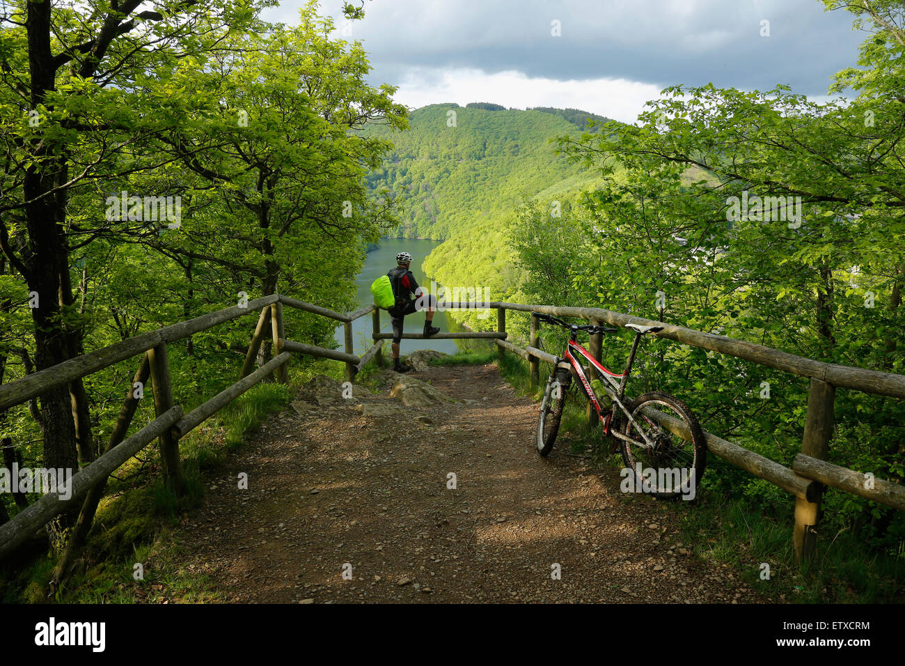 Schleiden, Germania, mountain bike sul deserto sentiero nel Parco Nazionale dell'Eifel Foto Stock