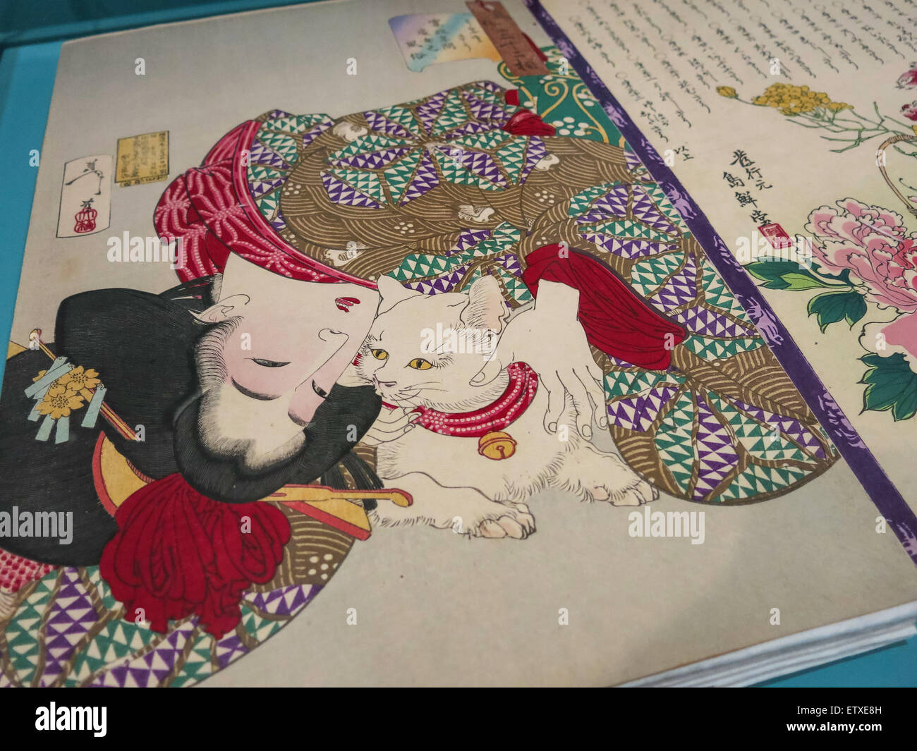 "La vita di Gatti' esporre alla Japan Society, NYC Foto Stock