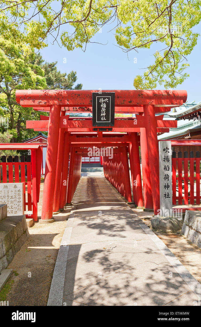 Corridoio del tradizionale rosso torii gates in Fukiage Jinja Srine scintoista Foto Stock