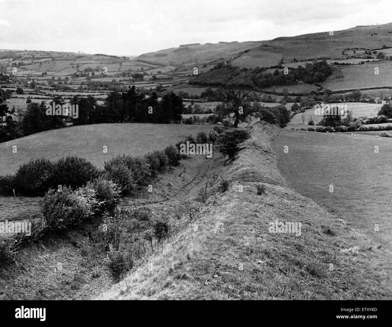Offa's Dike è un grande terrapieno lineare che segue approssimativamente l'attuale confine tra Inghilterra e Galles. Guardando a Nord dalla penna Offa diga scende nella valle. Il 31 agosto 1956. Foto Stock