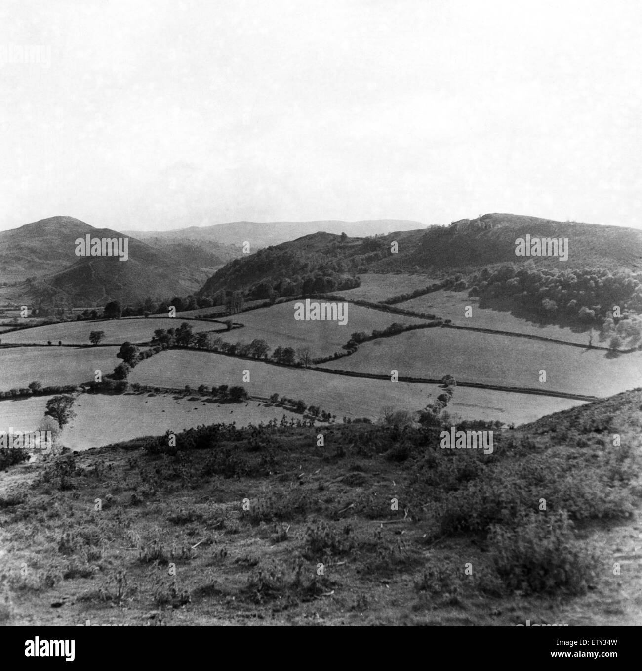 Offa's Dike è un grande terrapieno lineare che segue approssimativamente l'attuale confine tra Inghilterra e Galles. Guardando attraverso il paese dal parapetto della diga sulla collina Herrock. Il 30 agosto 1956. Foto Stock