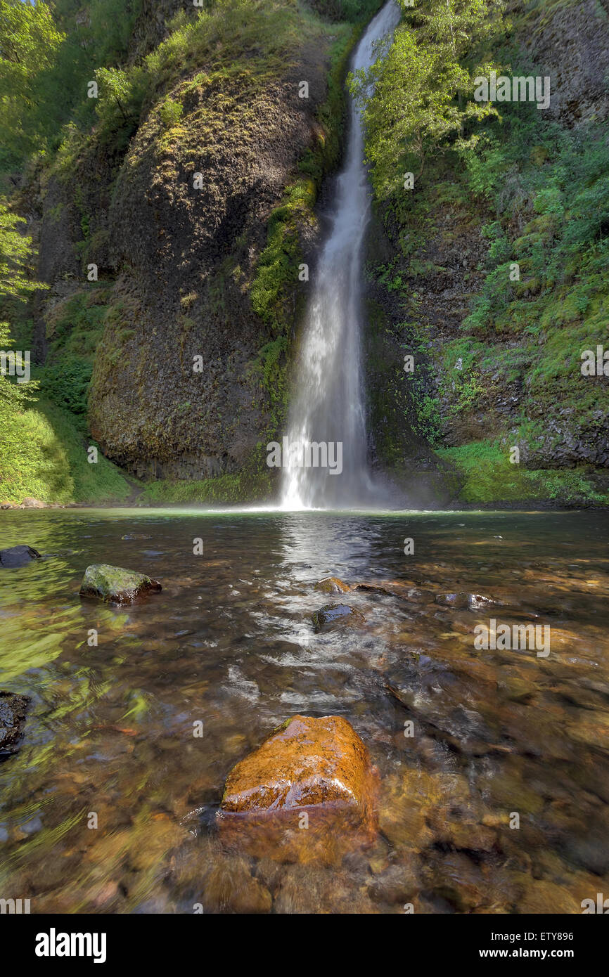 Equiseto cade in Columbia River Gorge Oregon in una giornata di sole Foto Stock