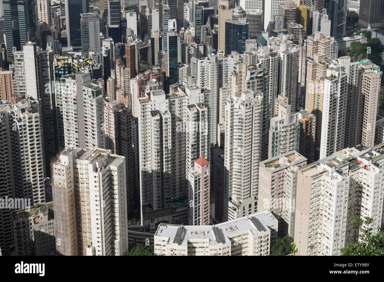 Vista di molti ad alta edifici di appartamenti in fitto quartiere urbano di Hong Kong Cina Foto Stock