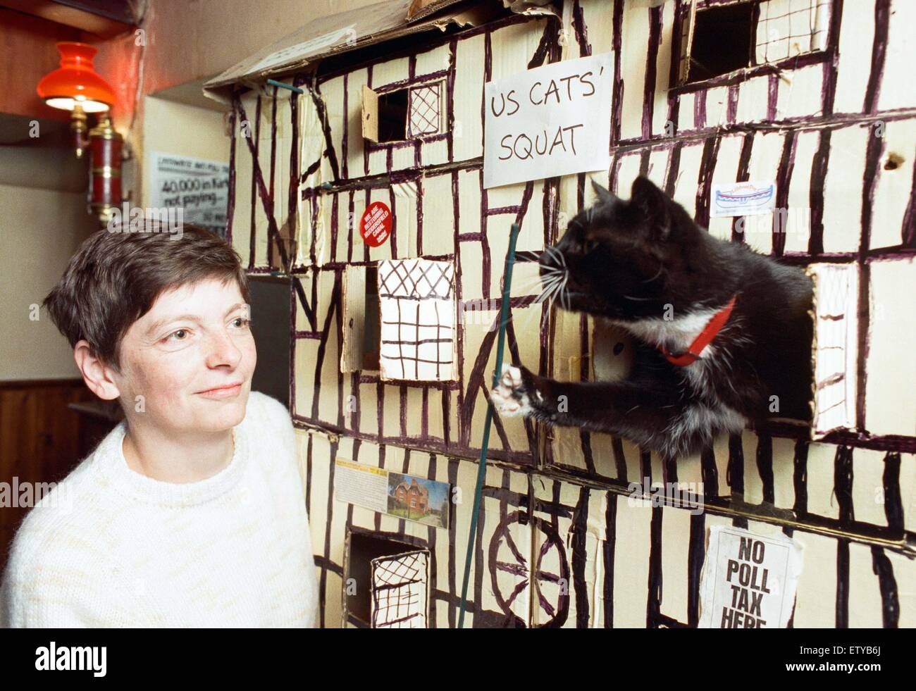 Nessuna tassa di polling qui... Onorevole Jane Crabtree padrona di casa a Sair, Linthwaite, con il pub con la sua casa cat. Il cartone, mock Tudor Mansion ha ospitato il pub di felini per quasi un anno nel bar principale, dopo uno ha preso un lustro a un vuoto nella casella nitido. Anot Foto Stock