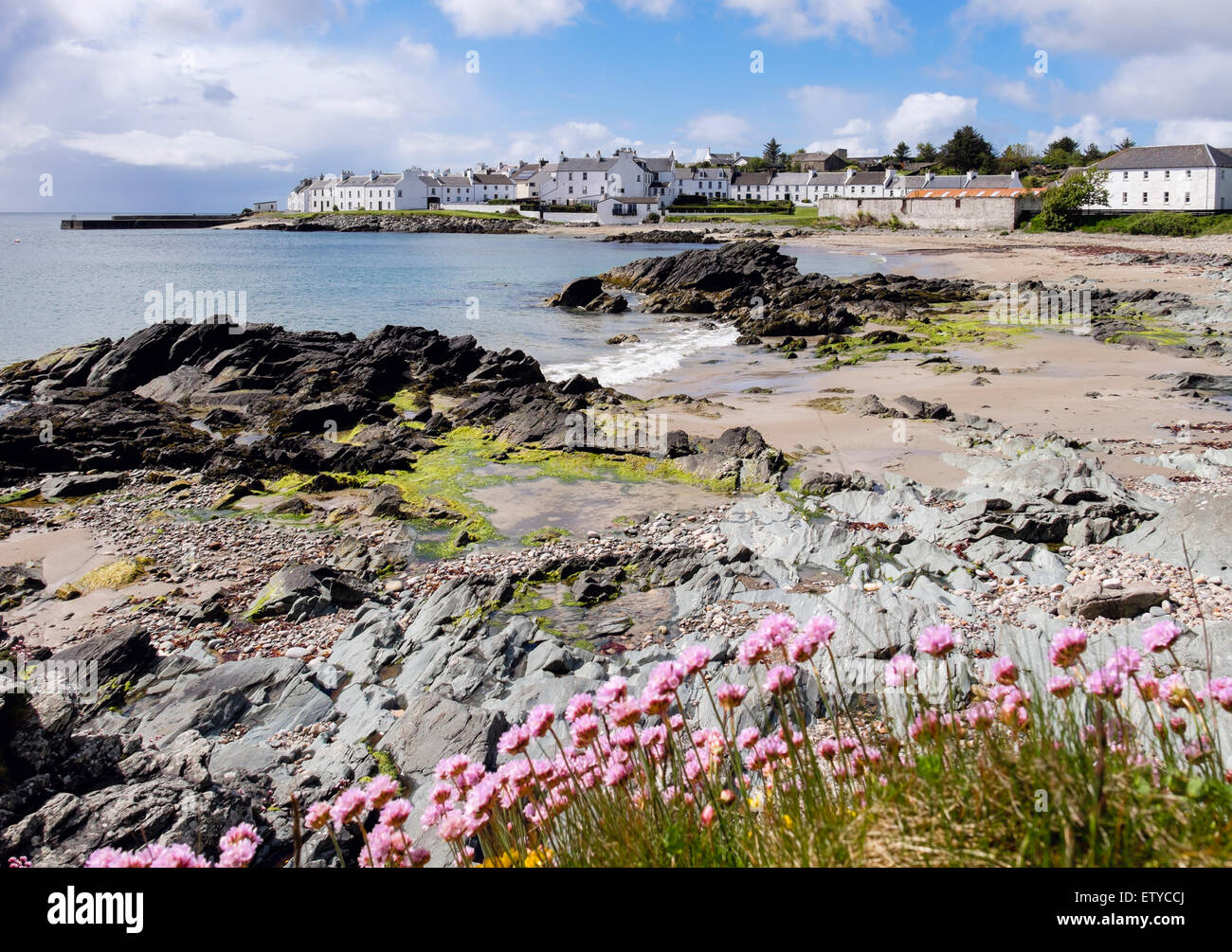 La parsimonia rosa mare Armeria maritima fiori e vista lungo la costa di Loch Indaal a Port Charlotte Isle of Islay Ebridi Interne Western Isles della Scozia UK Foto Stock