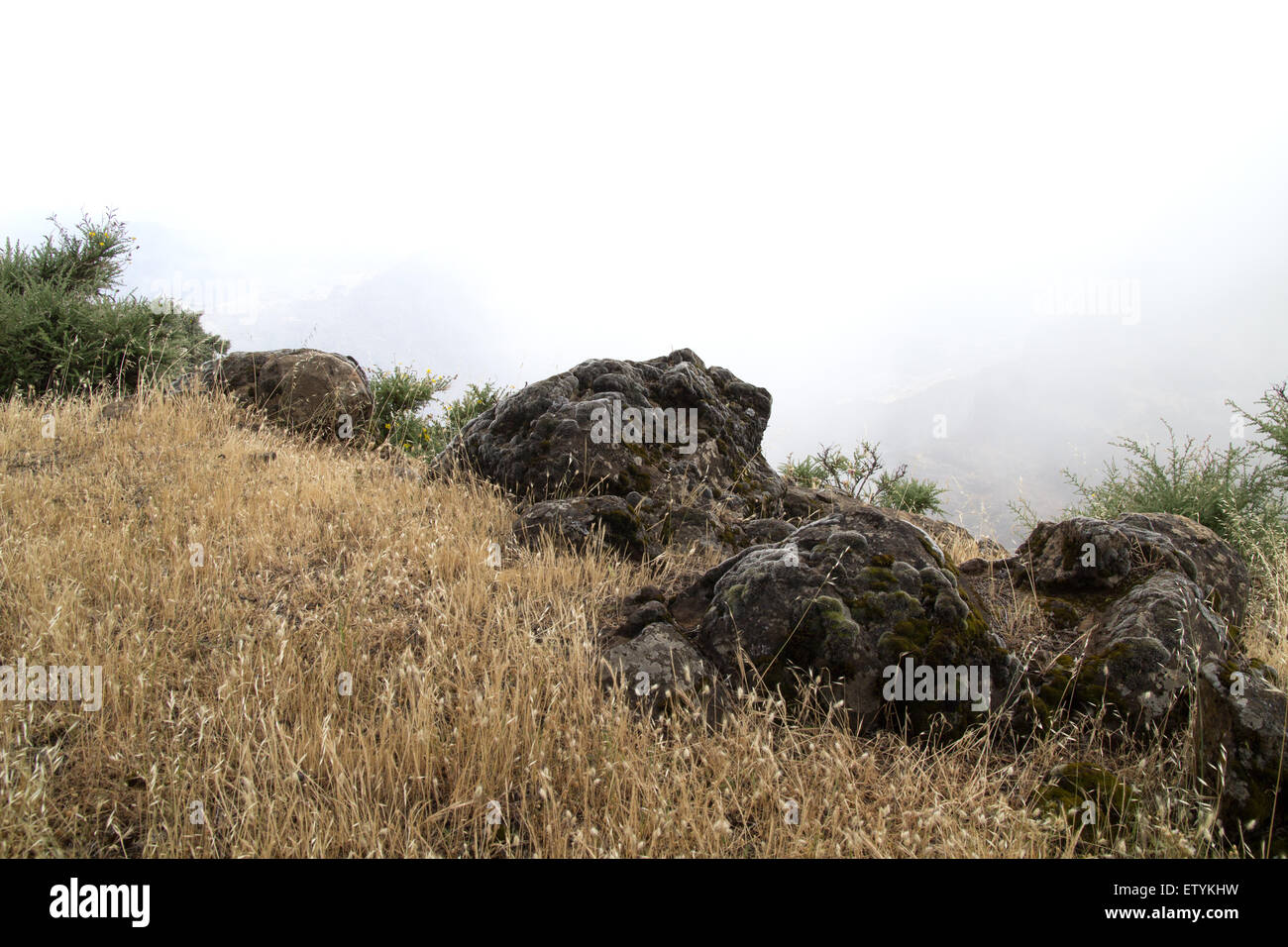Bordo del mondo, foggy abisso al di là di rocce di muschio con alcuni contorni delle montagne visibili, bianco puro al di sopra di Foto Stock