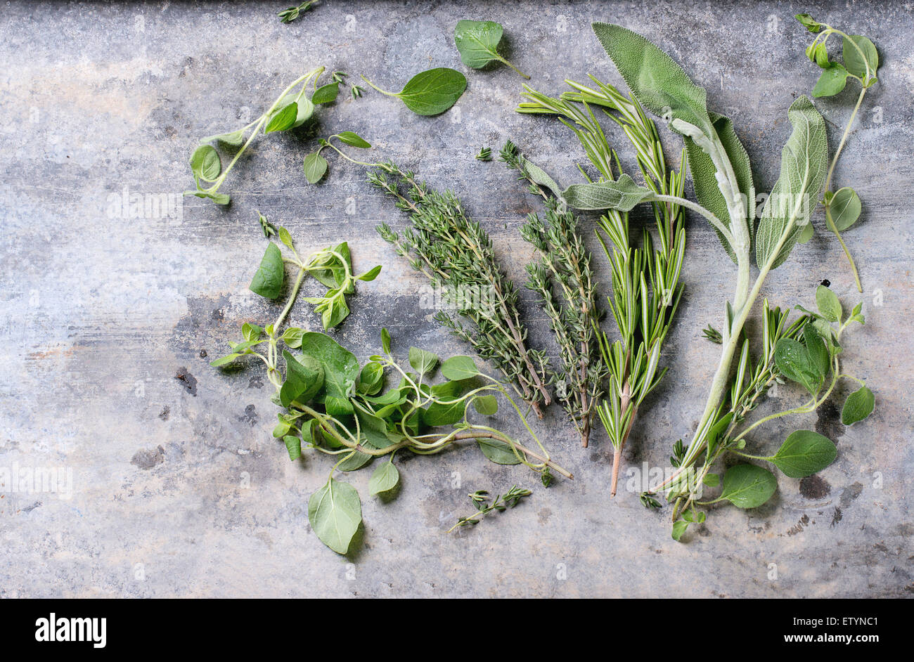 Assortimento di erbe fresche di timo, rosmarino, salvia e origano su metallo grigio Sfondo. Vista superiore Foto Stock