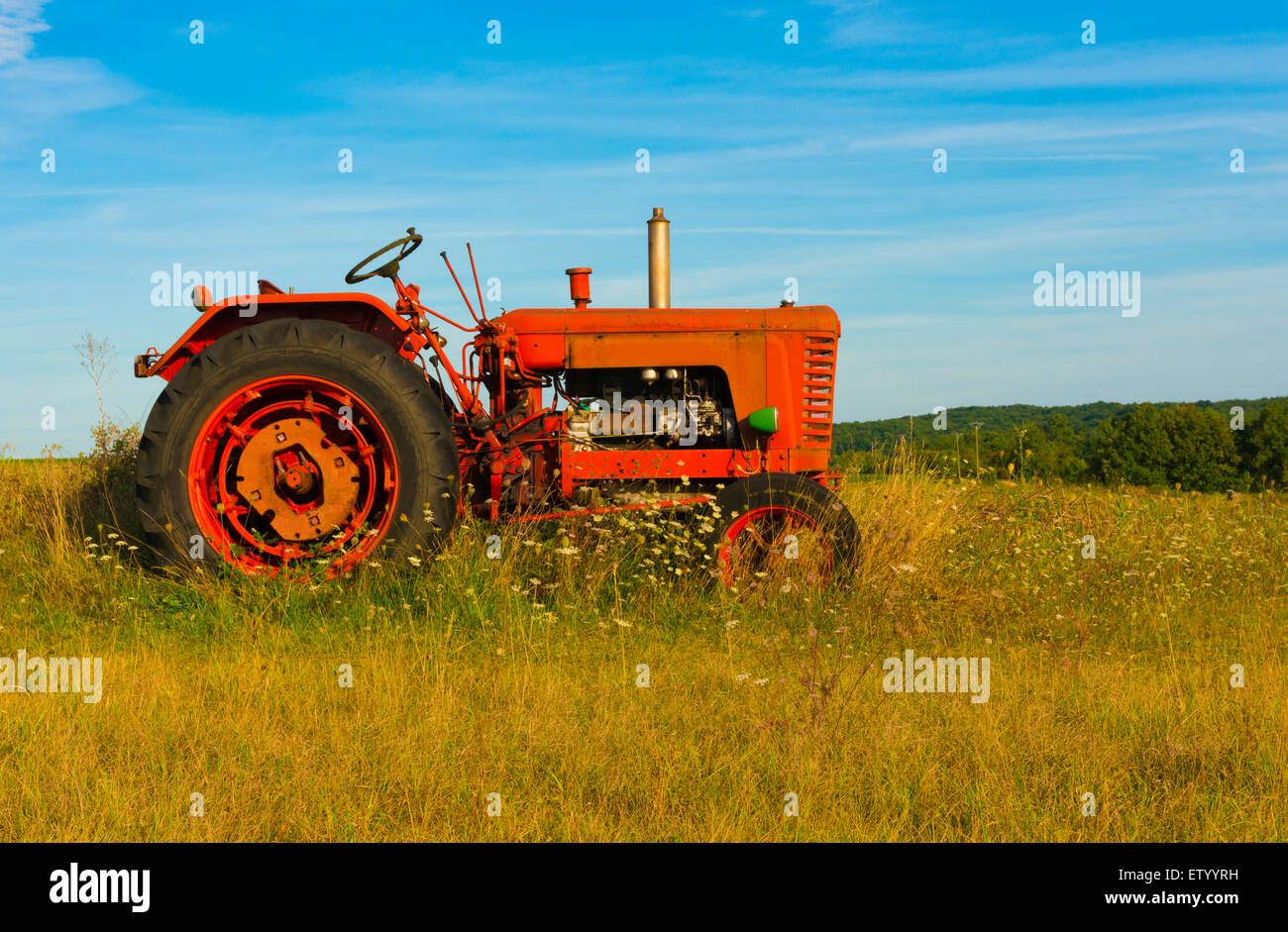 Il Little Red trattori si siede da solo in corrispondenza del lato del campo - abbandonato molto tempo fa. Foto Stock