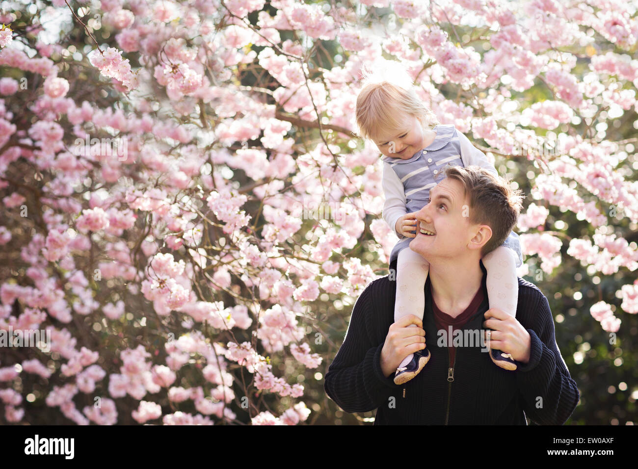 Padre e figlia di fronte blossom tree Foto Stock
