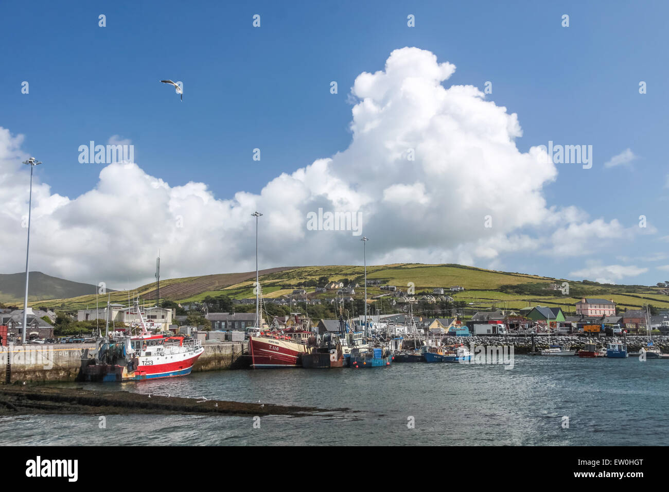 Porto di pesca di Dingle, nella contea di Kerry, Irlanda Foto Stock
