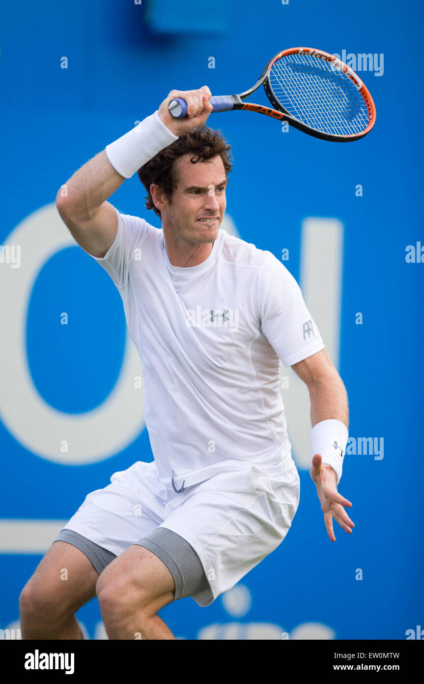 Londra, Regno Unito. 16 Giugno, 2015. Queens Aegon campionato di tennis. Andy Murray (GBR) in azione durante la sua prima partita. Credito: Azione Sport Plus/Alamy Live News Foto Stock