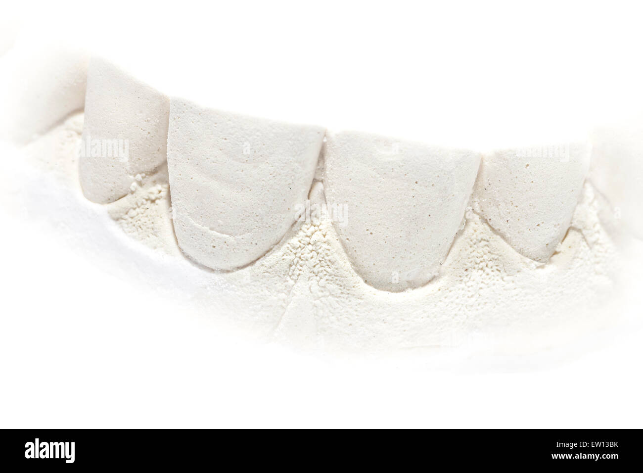 Dental modello in gesso colato, umana ganascia inferiore, isolato su bianco. Foto Stock