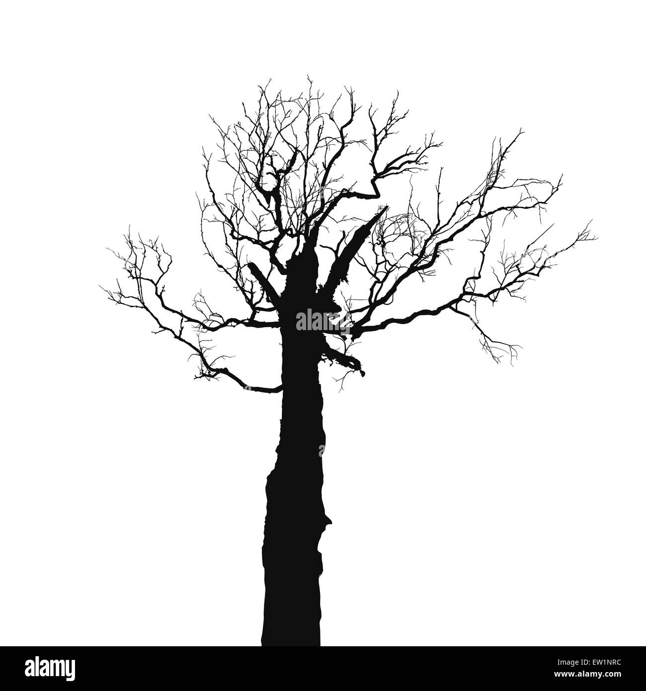 Silhouette vecchio albero secco Illustrazione Vettoriale