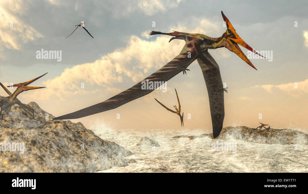 Pteranodon uccello volo sopra l'oceano. Foto Stock