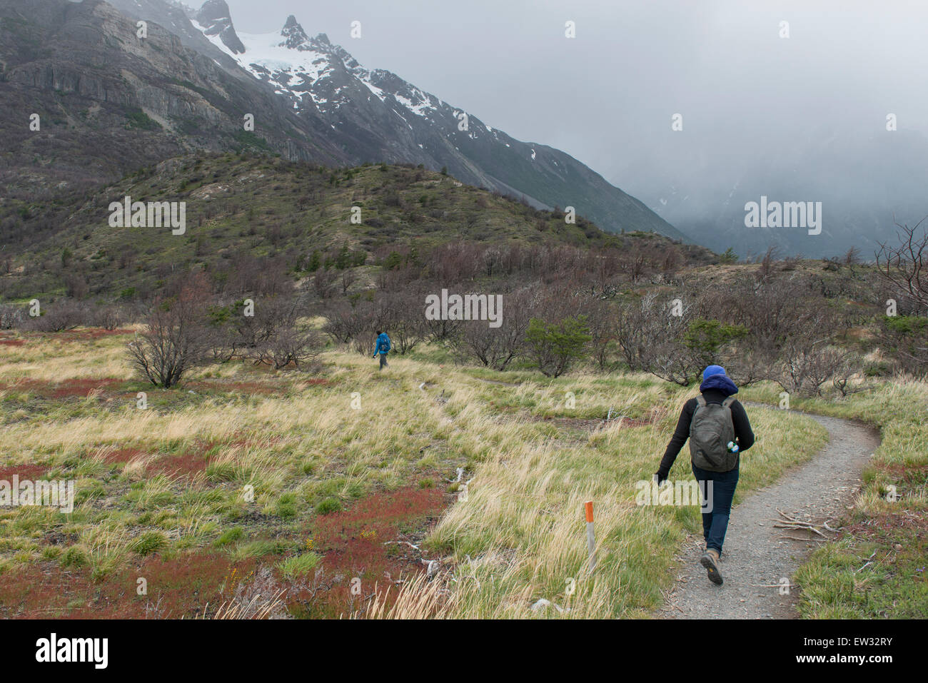 Gli escursionisti a W-Trek, Parco Nazionale Torres del Paine, Patagonia, Cile Foto Stock