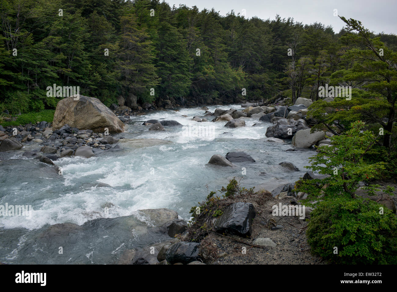 Fiume francese, francese Valley, Parco Nazionale Torres del Paine, Patagonia, Cile Foto Stock