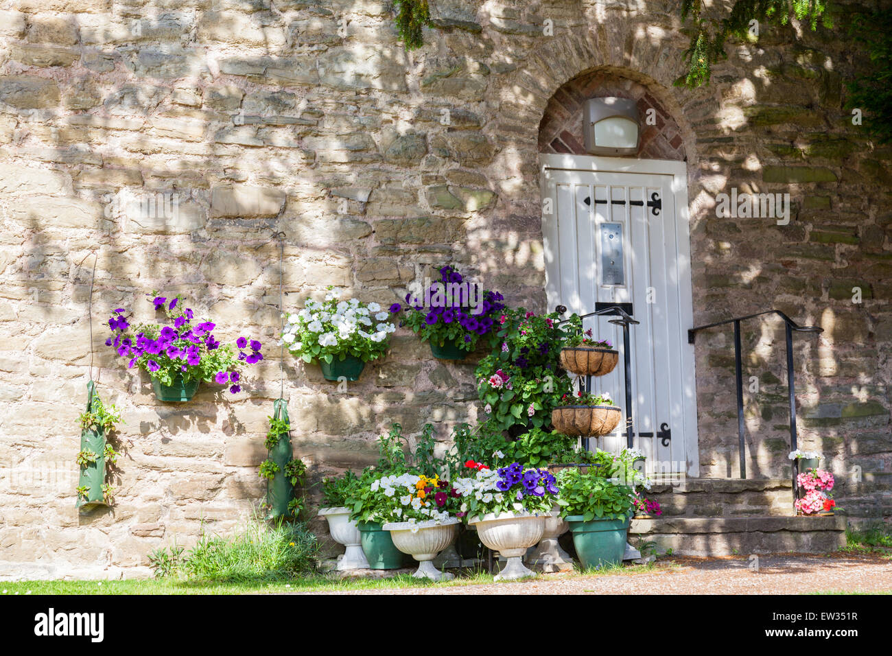 Per le piante in vaso al di fuori di una proprietà privata entro le pareti esterne del Castello Luldow, Ludlow, Shropshire, Inghilterra, Regno Unito Foto Stock