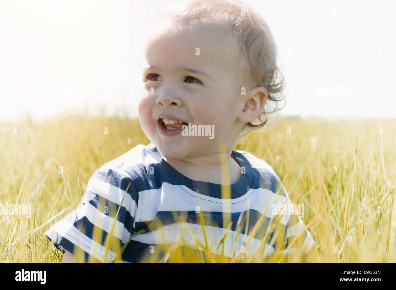 Bambino in striped t-shirt in un campo di sole Foto Stock