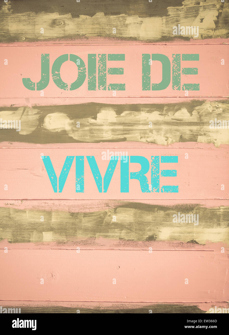 Concetto di immagine di joie de vivre motivazionali di preventivo scritto su vintage verniciato parete in legno Foto Stock