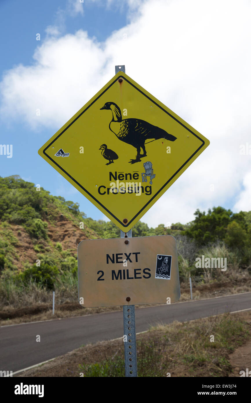 Nene attraversando cartello stradale, Molokai, Hawaii Foto Stock