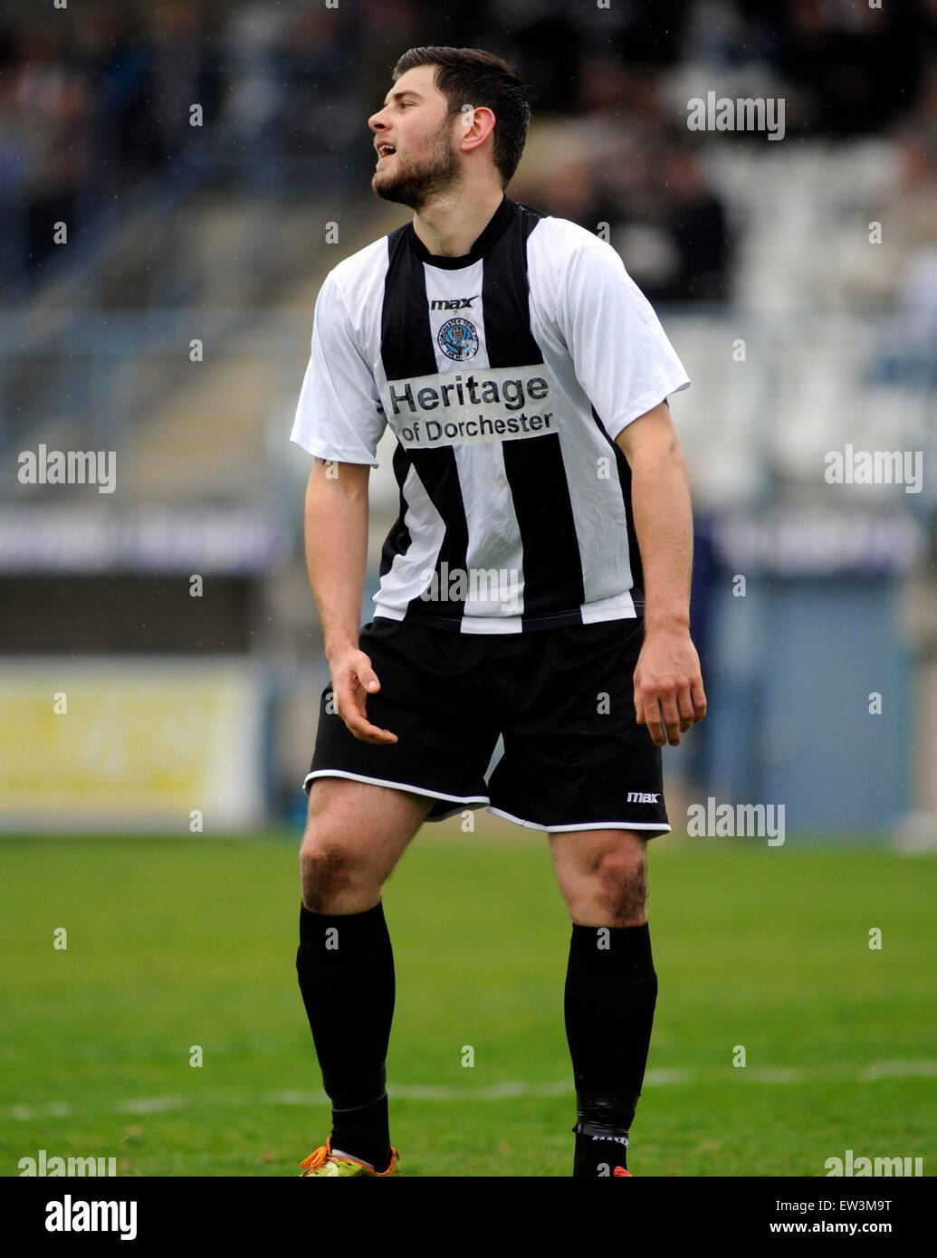 Dorchester, Inghilterra. Xxv Aprile 2015. Azione dalla partita finale del Evo Stick Southern League Premier Division stagione betwe Foto Stock