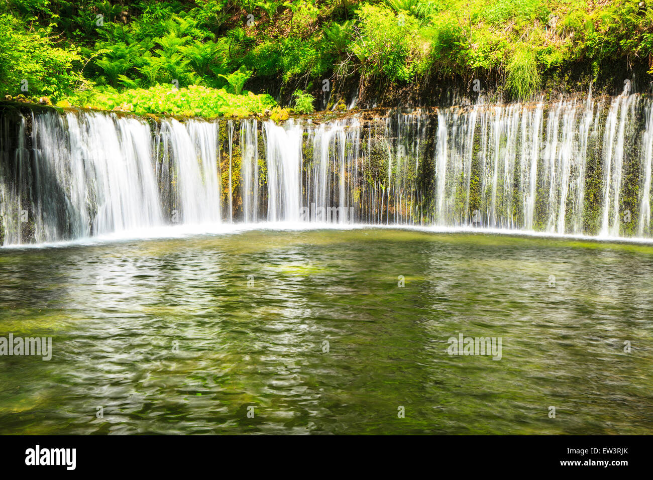 Karuizawa Shiraito cascata, Nagano, Giappone Foto Stock